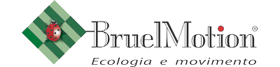 BRUELMOTION