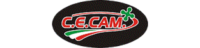 CECAM